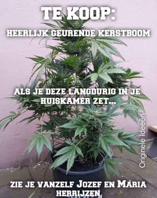 Kerst: hypocriet, schijnheilig, commercieel gedoe